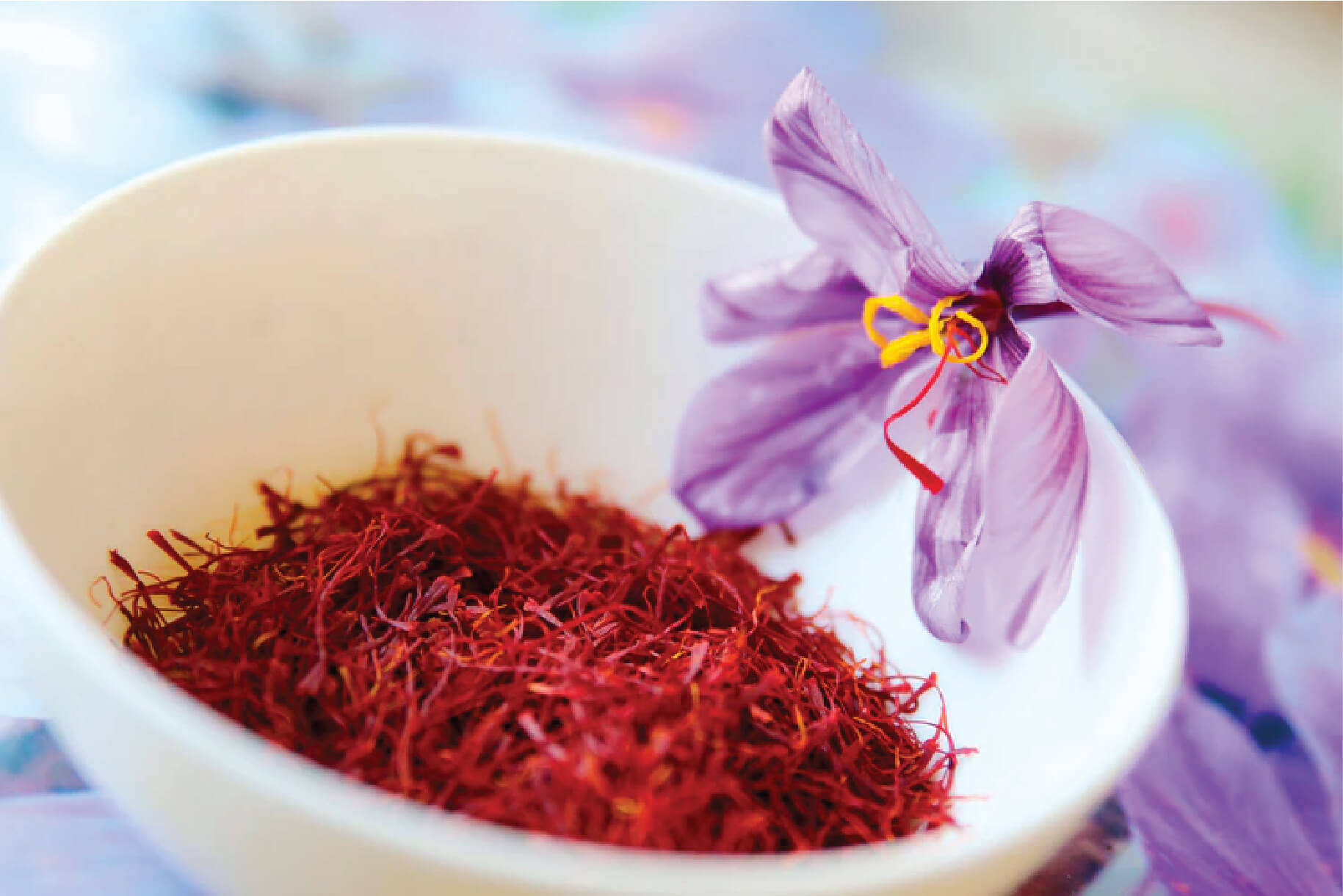 THE WORLD’S FINEST SAFFRON-01